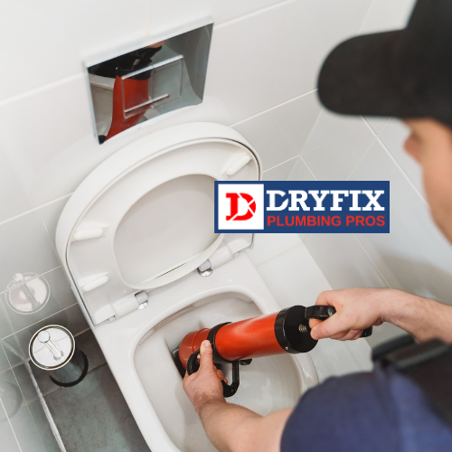 https://dryfixplumbingpros.com/wp-content/uploads/2023/06/cloggedtoiletrepair.png