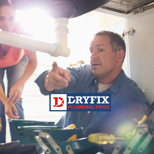 https://dryfixplumbingpros.com/wp-content/uploads/2023/06/leakdetectionplumber.png