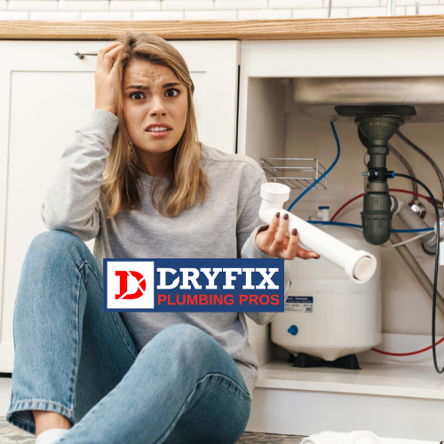 https://dryfixplumbingpros.com/wp-content/uploads/2023/06/needaplumbernow.png